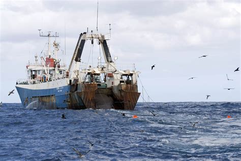 Deep Sea Fishing Meps Call For Bottom Trawling Ban In