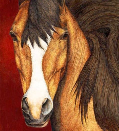 Pinturas Caras De Caballos Pintura Acuarela Horse Art Horse Painting