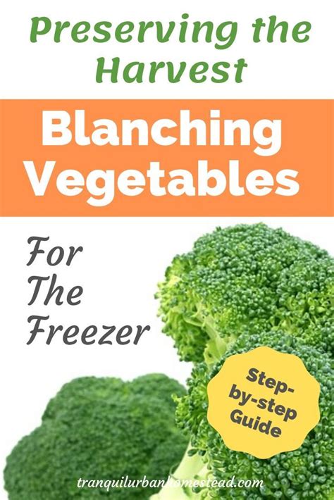 Easy Step By Step Guide To Blanching Vegetables For Freezing