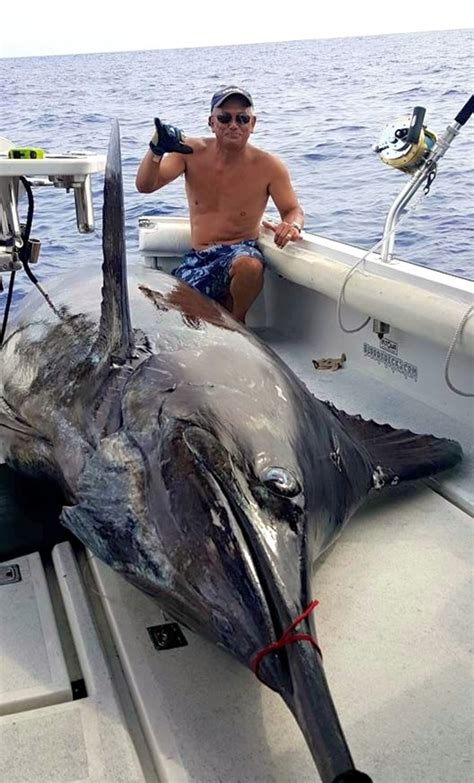 Angler Lands Pound Blue Marlin From Foot Skiff Just Shy Of