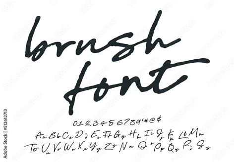 Vintage Brush Script Lettering Font Handwritten Calligraphic Alphabet