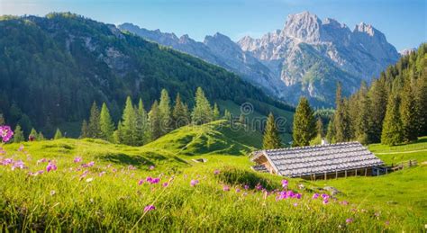 Idyllic Alpine Scenery With Mountain Chalets In Summer Stock Image