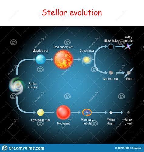 Evoluzione Stellare Ciclo Di Vita Di Una Stella Illustrazione