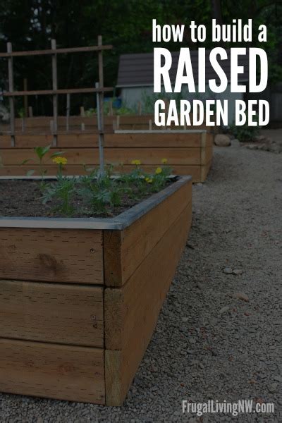 How To Build A Raised Garden Bed Gardening