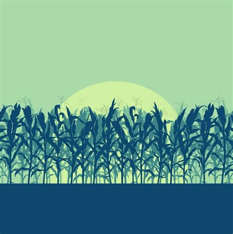 Corn Field Evening Or Morning Light Landscape Vector — Stock Vector