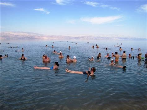 Camels do not store water in their humps, the humps contain fat. Does saltwater actually cure all? | SiOWfa15: Science in ...