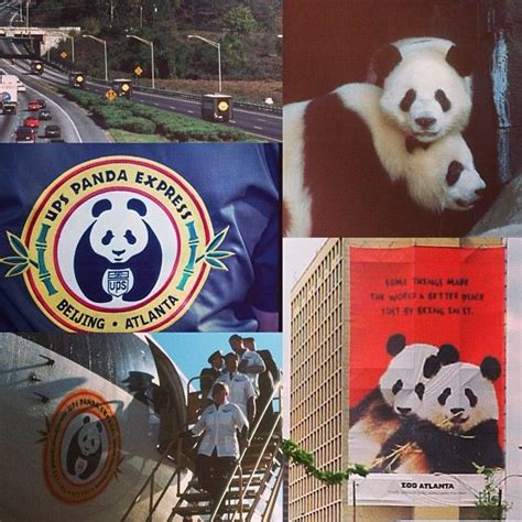 In 1999 Zoo Atlanta Welcomed Two Beautiful Pandas Lun Lun And Yang