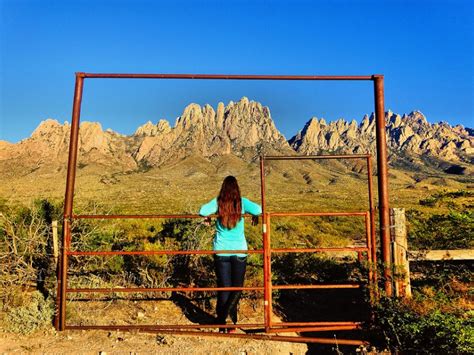 Top 8 Things To Do In Las Cruces New Mexico Trips To Discover