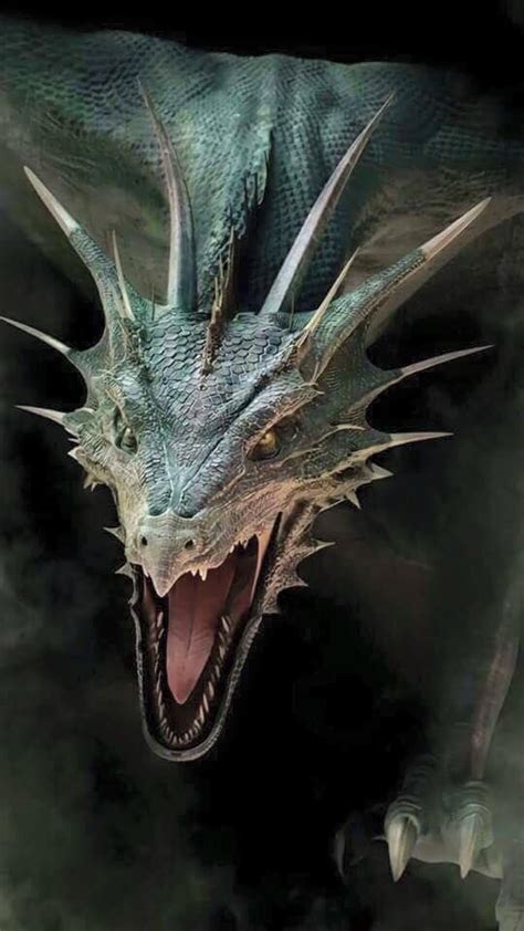 Wyvern Realistic Dragon Dragon Art Dragon Images