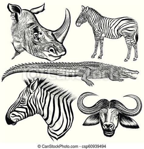 Set Of Vector Hand Drawn African Animals Canstock
