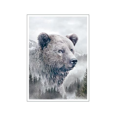 Portraits Brown Bear Poster And Frame