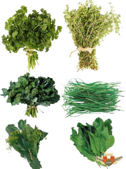 Collection Of Herbs Hd Png Pluspng