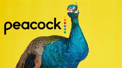 Este Es Peacock El Servicio De Streaming De Nbcuniversal