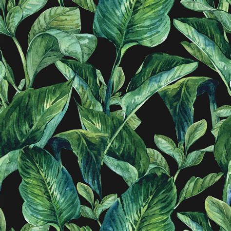 Mu1753 Tropical Leaves ☑️ Photo Wallpaper Talissa Decor