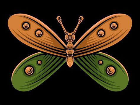 Beautiful Butterfly Vector Design For Elements 22132139 Vector Art At