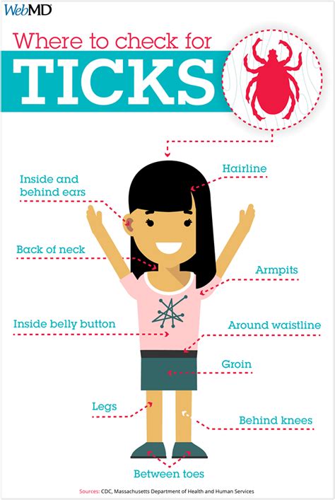 Summer Tick Tips Kid Safe All Natural Tick Repellent