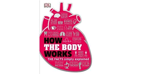 How The Body Works By Dk Publishing