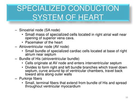 Ppt Electrical Activity Of The Heart Powerpoint Presentation Free