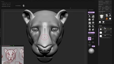 Panther Head Speed Sculpt~ Youtube