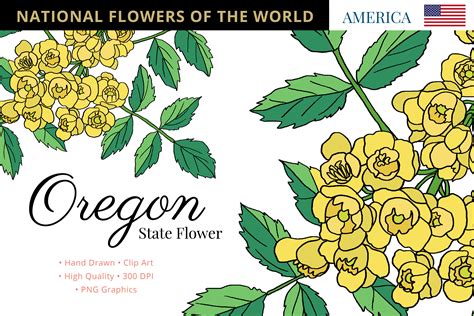 Oregon State Flower Afbeelding Door Hanatist Studio · Creative Fabrica