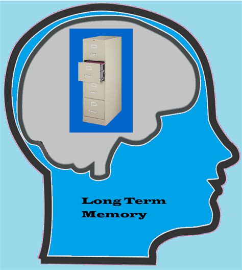 Cognitive Process- Long Term Memory - Educational Evaluations