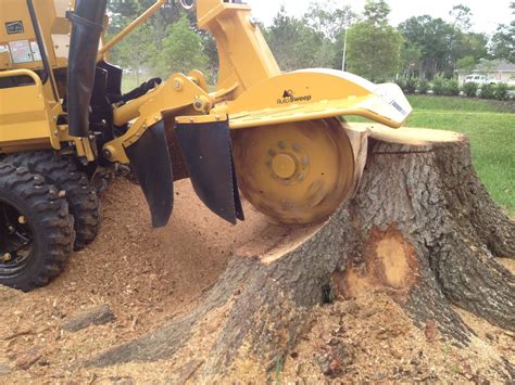 What You Need To Know About Stump Grinding And Why Its Necessary