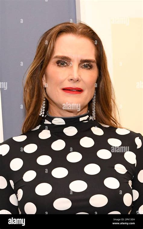 New York Usa 04th Apr 2023 Brooke Shields Attends The 2023 Tribeca