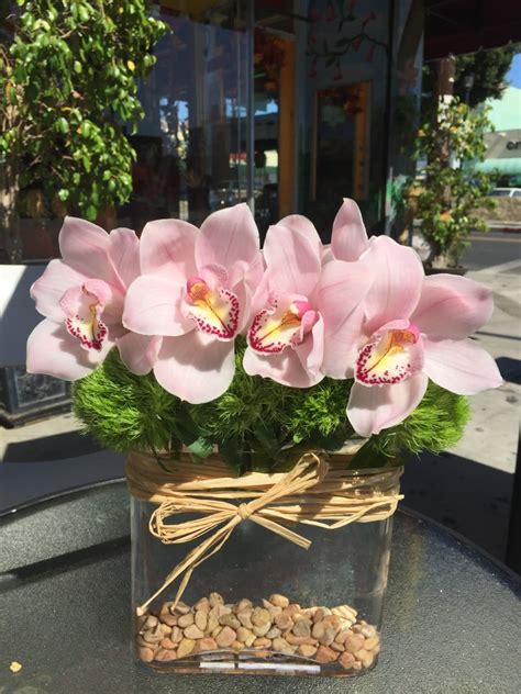 Elegant Orchids In Los Angeles Ca Highland Park Florist