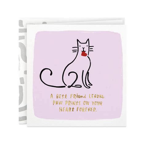 Sympathy Card For Loss Of Cat Sympathy Cards Paper And Party Supplies