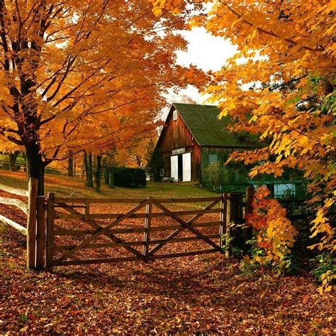 Autumn In The Country Autumn Scenery Fall Pictures Autumn Scenes