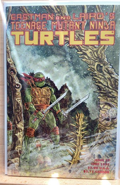 Teenage Mutant Ninja Turtles 37 1991 Comic Books Copper Age