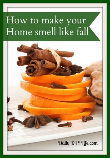 Make Your Home Smell Like Fall Homemade Potpourri