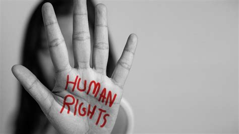 Global Human Rights Organizations Market Size Forecasts And Opportunities Latest Global
