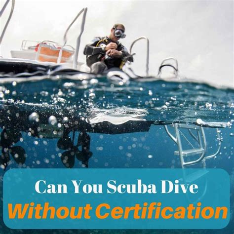 Can You Go Scuba Diving Without Certification Oc Scuba Center