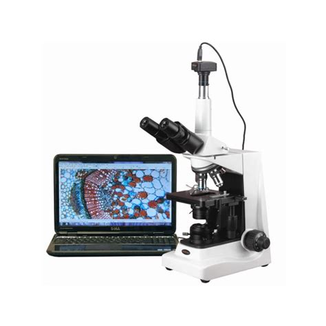 Microscopio De Fluorescencia Del Plan Led Del Infinito X X A My Xxx