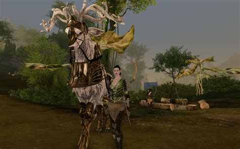 Guide on how to upgrade quest gear to level 50. Candle Making Classes Houston Tx: Archeage Class Builder