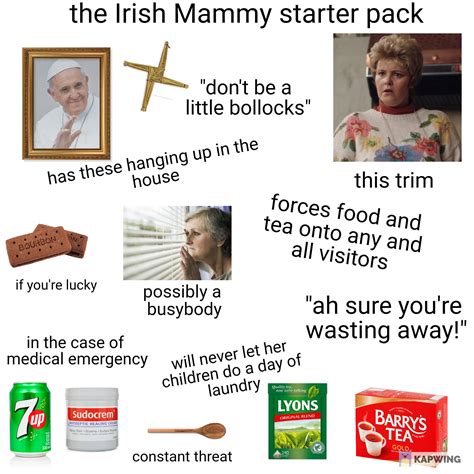 Irish Mammy Starter Pack Rstarterpacks Starter Packs Know Your Meme