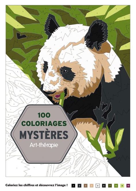 Artthérapie  100 coloriages mystères. Couverture souple, 21,5 x 30 cm