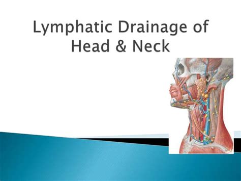 Head And Neck Lymphatic Drainage Ppt