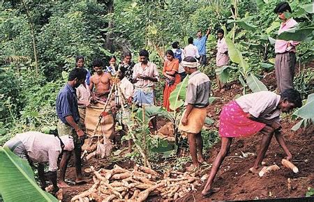 Eco-development in Periyar — an Objective Analysis ...