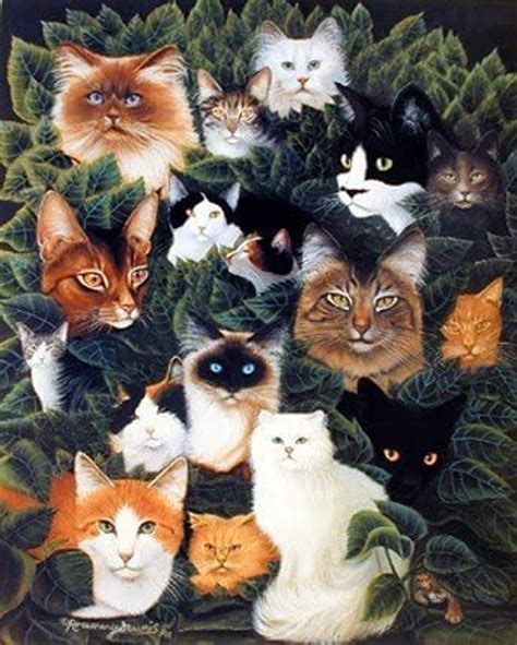 Cat Collage Picture Animal Posters Cat Posters