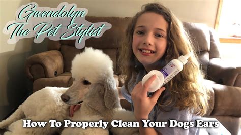 It also lubricates your ear canals, preventing them from becoming dry and itchy. How To Properly Clean Your Dogs Ears - YouTube