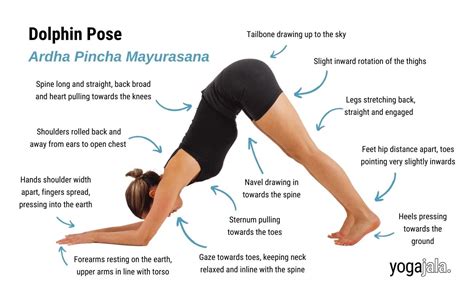 Yoga Poses By Type