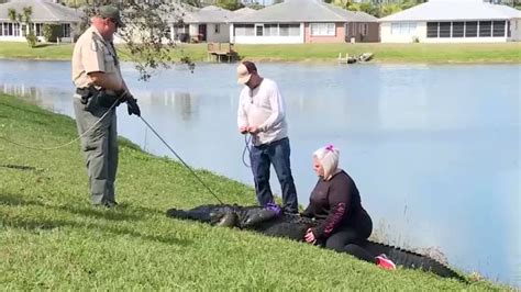 Elderly Florida Woman Dies After Encounter With Alligator Cnn