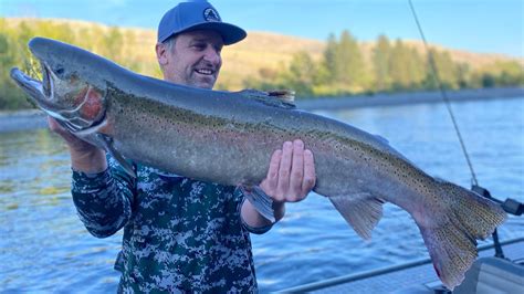 Clearwater River Steelhead Report 10922 Great Week That Has Some