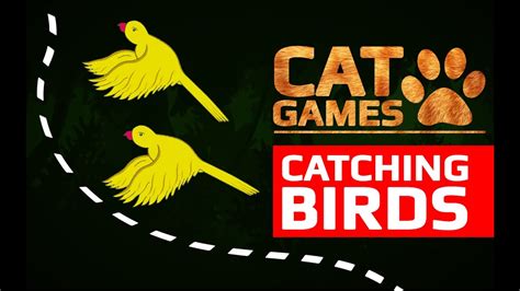 Cat Games 🐦 Catching Birds Entertainment Videos For Cats To Watch