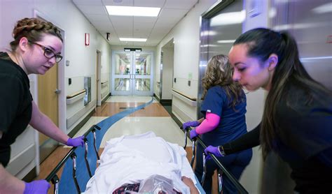 What To Expect At The Emergency Department Unm Health System The