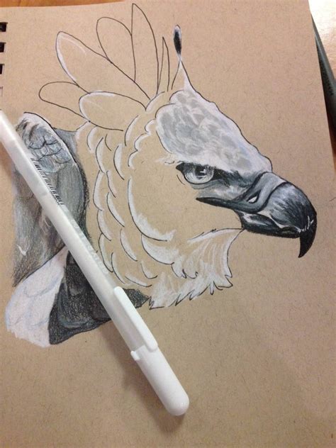 Harpy Eagle Wip By Ordinaryredtail On Deviantart
