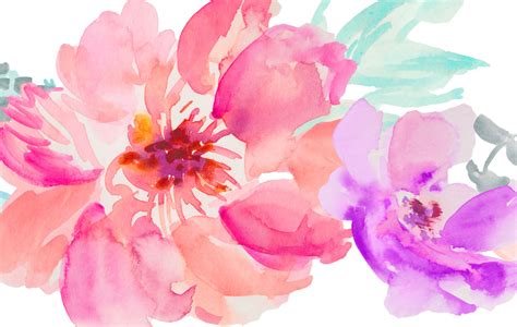 650 x 535 jpeg 112 кб. 48 Hand Painted Watercolor Flowers for Premium Members ...