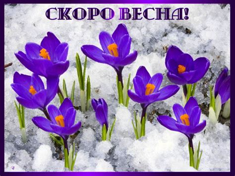 Скоро весна - С Надписями на русском языке - Открытки ...